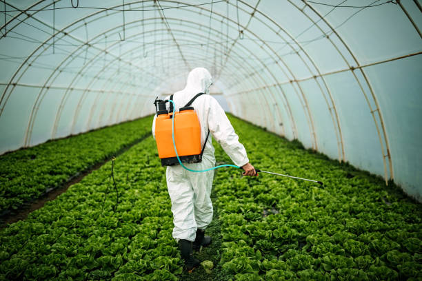 Best Affordable Pest Control Services  in East Hampton North, NY