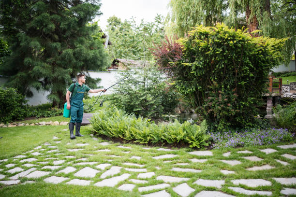 Best Best Pest Control Companies  in East Hampton North, NY