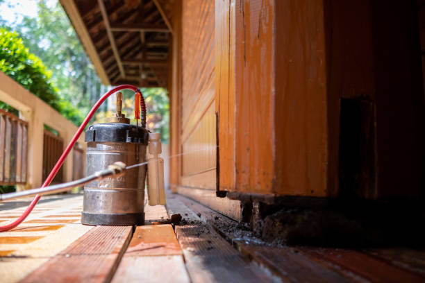 Best Mosquito Control Services  in East Hampton North, NY